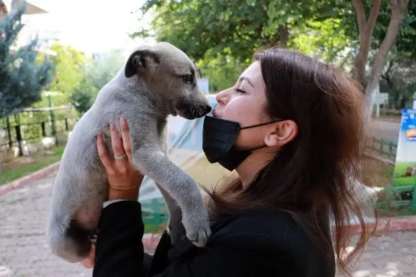 Koronavirüste mutant uyarısı: İnsandan hayvana bulaşmayacağının garantisi yok Koronavirüste mutant uyarısı: İnsandan hayvana bulaşmayacağının garantisi yok