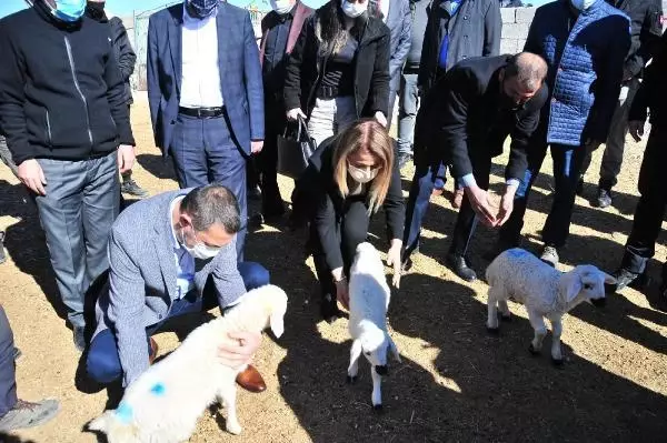 Nevşehir'de yangında 120 küçükbaşı telef olan besicilere destek Nevşehir'de yangında 120 küçükbaşı telef olan besicilere destek
