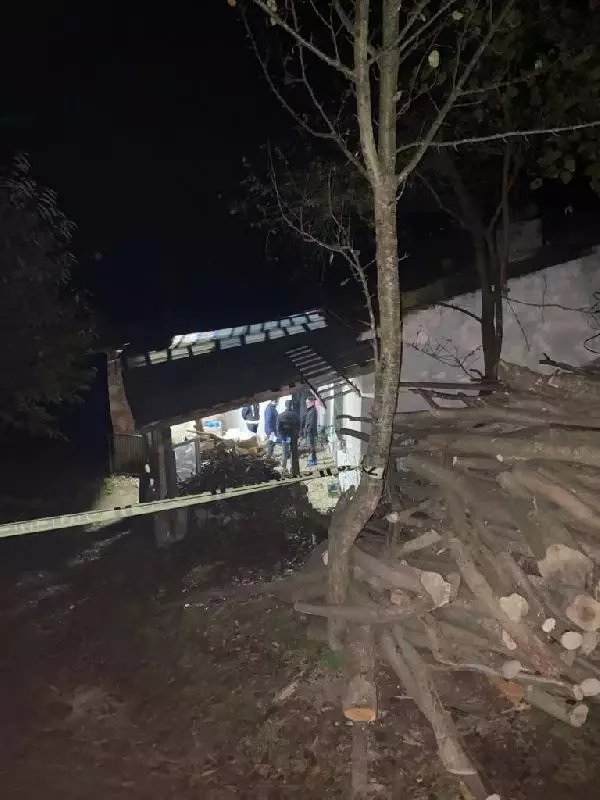 Ordu'da 'domuz bağı' cinayeti sanıkları dayı ve yeğene ağırlaştırılmış müebbet hapis Ordu'da 'domuz bağı' cinayeti sanıkları dayı ve yeğene ağırlaştırılmış müebbet hapis