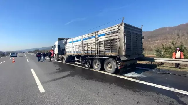 Son dakika haberleri... TEM'de tır yangını kısa sürede söndürüldü Son dakika haberleri... TEM'de tır yangını kısa sürede söndürüldü