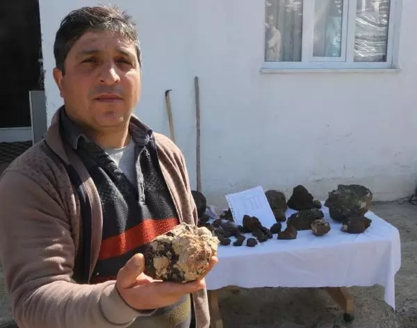 Tokatlı çoban, arazide bulduğu gök taşlarına 200 bin dolar istiyor Tokatlı çoban, arazide bulduğu gök taşlarına 200 bin dolar istiyor