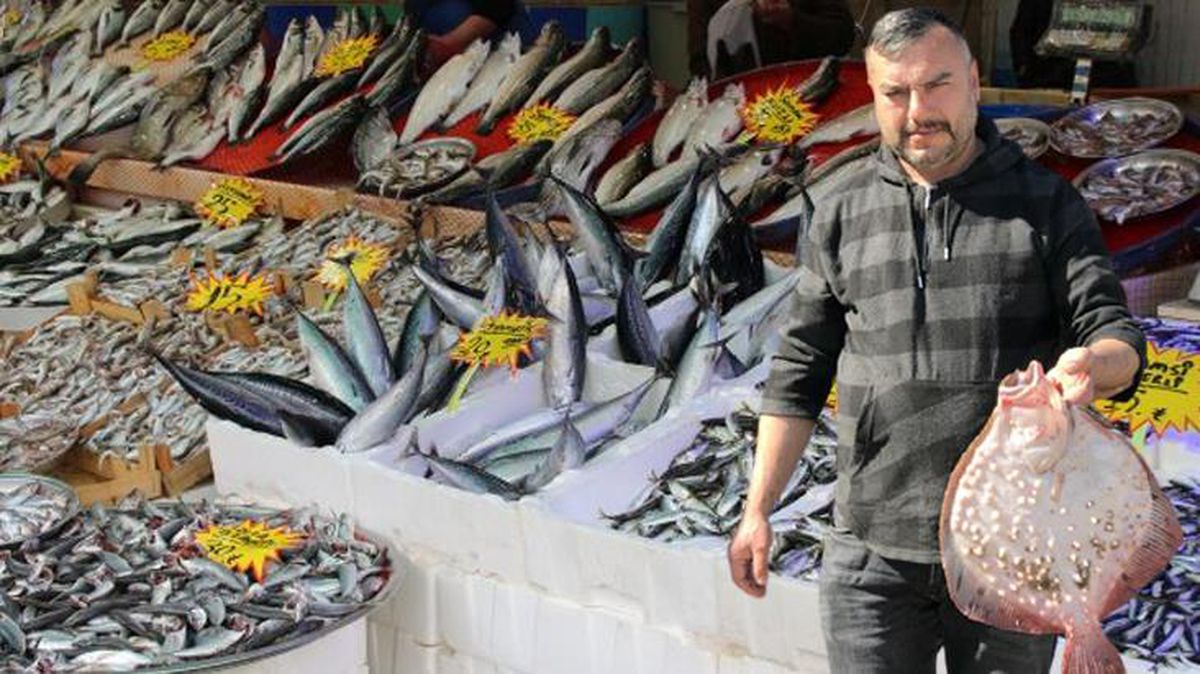 Hamsi sezonu kapanınca kilosu 250 TL olan kalkan, yok satmaya başladı