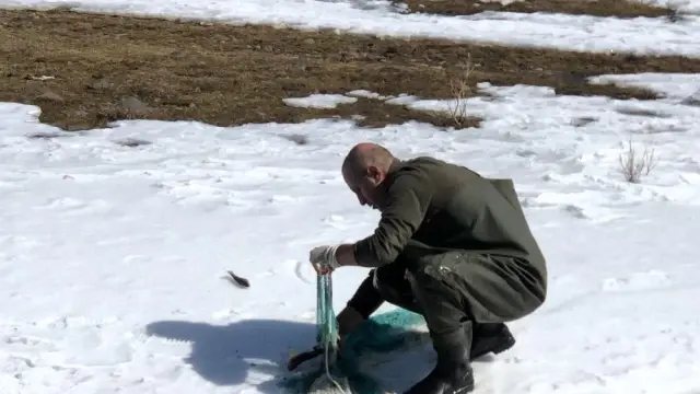 Kars'ta çözülen buzlar balıkçılara yaradı Kars'ta çözülen buzlar balıkçılara yaradı