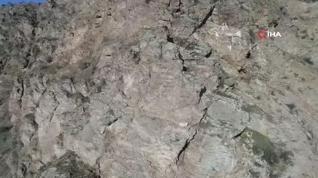Kayalıkta mahsur kalan keçiyi AKUT kurtardı Kayalıkta mahsur kalan keçiyi AKUT kurtardı
