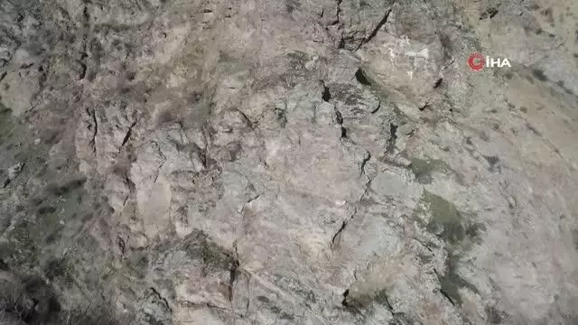 Kayalıkta mahsur kalan keçiyi AKUT kurtardı Kayalıkta mahsur kalan keçiyi AKUT kurtardı