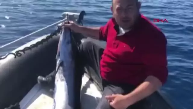 KKTC'de yakalanan 40 kiloluk dev kılıç balığı görenleri şaşırttı