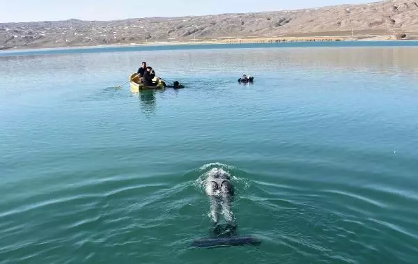 MİLLİ SPORCU BİRGÜL ERKEN'DEN SİVAS'TA 'KADINLAR GÜNÜ' DALIŞI MİLLİ SPORCU BİRGÜL ERKEN'DEN SİVAS'TA 'KADINLAR GÜNÜ' DALIŞI
