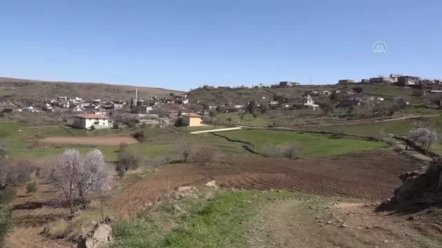 ŞANLIURFA - Kuraklık endişesi yaşayan çiftçiler yağmur duasına çıktı ŞANLIURFA - Kuraklık endişesi yaşayan çiftçiler yağmur duasına çıktı