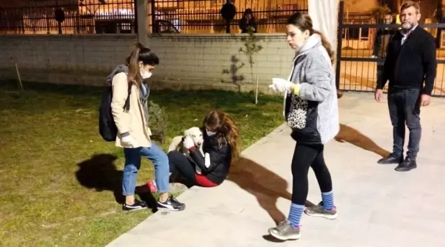 Sınırın sıfır noktasında kazanlar sokak hayvanları için kaynadı Sınırın sıfır noktasında kazanlar sokak hayvanları için kaynadı