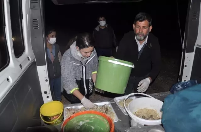Sınırın sıfır noktasında kazanlar sokak hayvanları için kaynadı Sınırın sıfır noktasında kazanlar sokak hayvanları için kaynadı