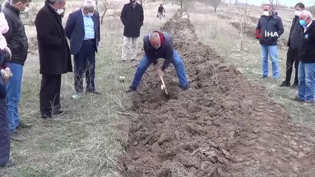 8 Mart Kadınlar Günü için Sandıklı'da fidan dikimi 8 Mart Kadınlar Günü için Sandıklı'da fidan dikimi