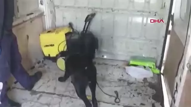 ADANA Oto yıkama makinesine gizlenmiş 55 bin uyuşturucu hapı 'Uzi' buldu ADANA Oto yıkama makinesine gizlenmiş 55 bin uyuşturucu hapı 'Uzi' buldu
