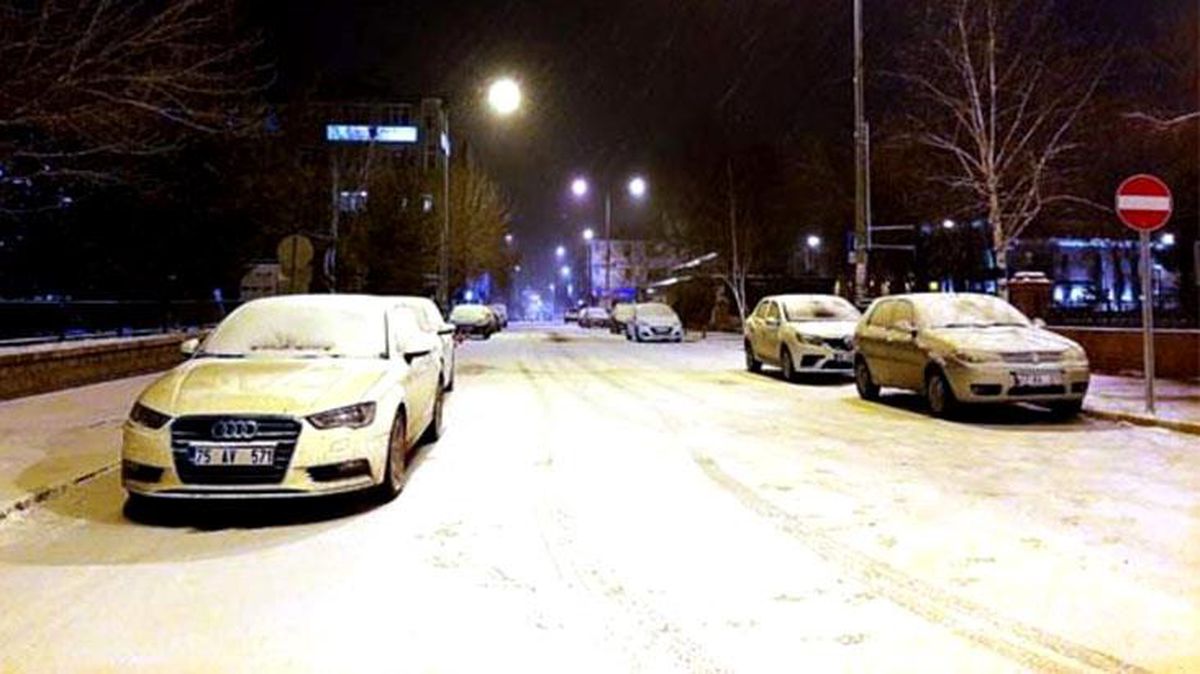 Ardahan'da yeniden kar yağışı başladı
