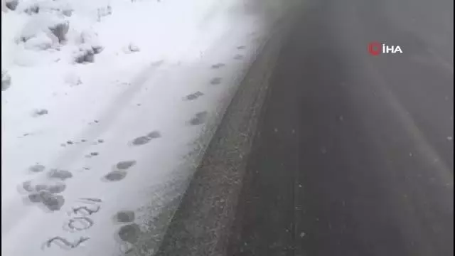 Bolu Dağı'nda kar yağışı başladı Bolu Dağı'nda kar yağışı başladı