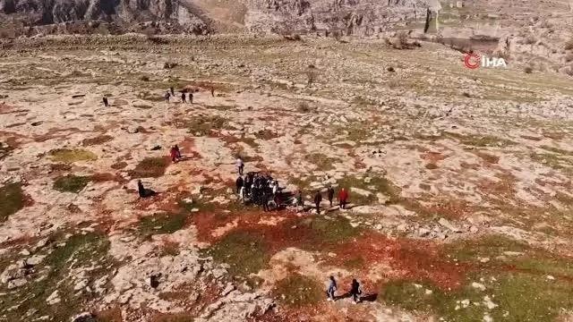 Halfeti'de 'koku festivali' düzenlendi
