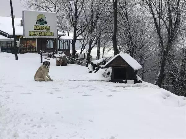 KOCAELİ Kartepe beyaza büründü KOCAELİ Kartepe beyaza büründü