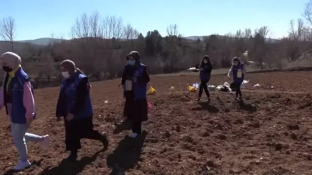 KASTAMONU - Gönüllü gençler imece usulüyle Taşköprü sarımsağını toprakla buluşturdu KASTAMONU - Gönüllü gençler imece usulüyle Taşköprü sarımsağını toprakla buluşturdu