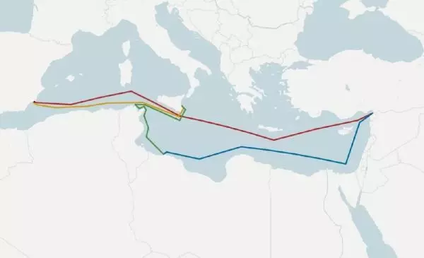 Türkiye'nin hastalık nedeniyle reddettiği büyükbaş hayvanlar, geri getirildiği İspanya'da itlaf edilecek Türkiye'nin hastalık nedeniyle reddettiği büyükbaş hayvanlar, geri getirildiği İspanya'da itlaf edilecek