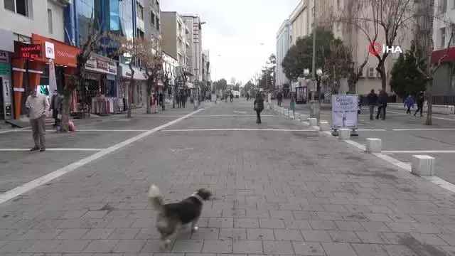 Uşak rehavete kapılmadı, caddeler boş kaldı Uşak rehavete kapılmadı, caddeler boş kaldı