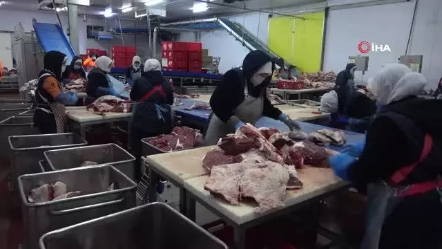 400 kadın kasap her gün 150 ton et işliyor 400 kadın kasap her gün 150 ton et işliyor