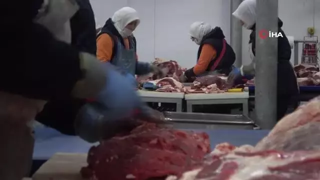 400 kadın kasap her gün 150 ton et işliyor 400 kadın kasap her gün 150 ton et işliyor
