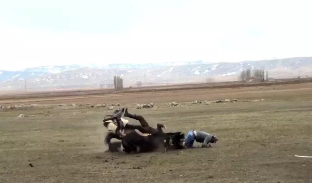 Son dakika haber: Sivas'ta atların çarpıştığı kaza kamerada: 1 yaralı Son dakika haber: Sivas'ta atların çarpıştığı kaza kamerada: 1 yaralı