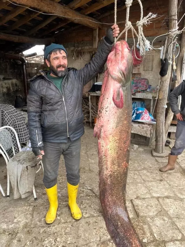 Balıkçıların oltasına 2 metre 20 santimlik yayın balığı takıldı Balıkçıların oltasına 2 metre 20 santimlik yayın balığı takıldı