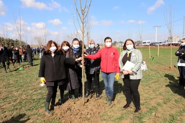 Başkan Akgün, 8 Mart Hatıra Ormanı'na ağaç dikti Başkan Akgün, 8 Mart Hatıra Ormanı'na ağaç dikti