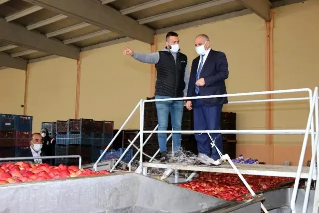 Başkan Öztürk; 'Elma üreticilerinin sorunlarını çözmek istiyoruz' Başkan Öztürk; 'Elma üreticilerinin sorunlarını çözmek istiyoruz'