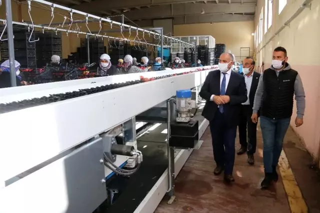 Başkan Öztürk; 'Elma üreticilerinin sorunlarını çözmek istiyoruz' Başkan Öztürk; 'Elma üreticilerinin sorunlarını çözmek istiyoruz'
