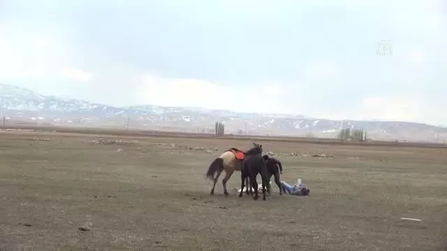 Cirit antrenmanında iki atın çarpışmasını kamera kaydetti Cirit antrenmanında iki atın çarpışmasını kamera kaydetti