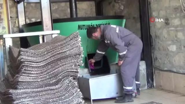 - Delice cinsi ağaçlardan üretilen zeytin yağı şifa kaynağı - Delice cinsi ağaçlardan üretilen zeytin yağı şifa kaynağı
