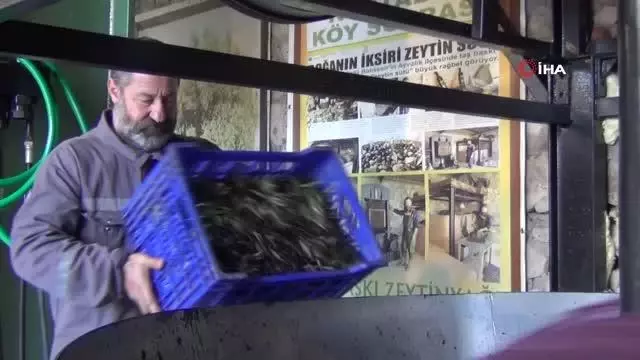 - Delice cinsi ağaçlardan üretilen zeytin yağı şifa kaynağı - Delice cinsi ağaçlardan üretilen zeytin yağı şifa kaynağı