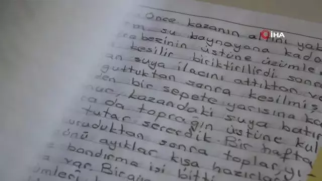 Eğitim aşkı yarım kaldı, yılmadı 65 yaşında kitap yazdı Eğitim aşkı yarım kaldı, yılmadı 65 yaşında kitap yazdı