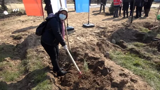 Kadınlar fidan dikti