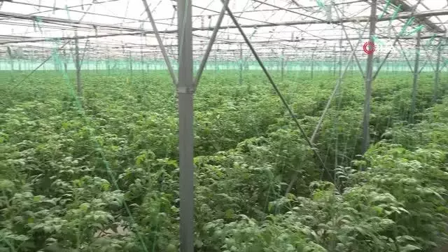 Kendi günlerinde çalışan tarım işçisi kadınlar unutulmadı Kendi günlerinde çalışan tarım işçisi kadınlar unutulmadı