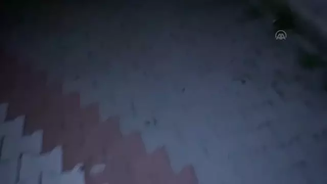 Kumar oynayan 7 kişiye 51 bin 116 lira ceza kesildi Kumar oynayan 7 kişiye 51 bin 116 lira ceza kesildi