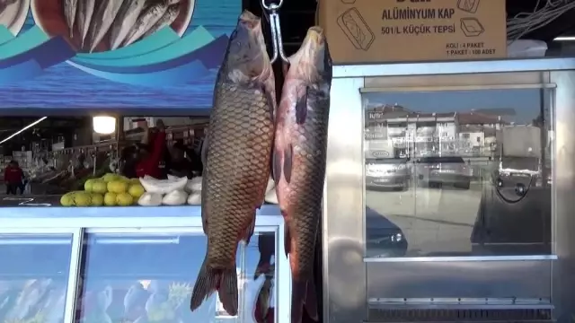 Mart ayının şampiyonu sazan, tuzlu su balıklarını rafa kaldırttı Mart ayının şampiyonu sazan, tuzlu su balıklarını rafa kaldırttı