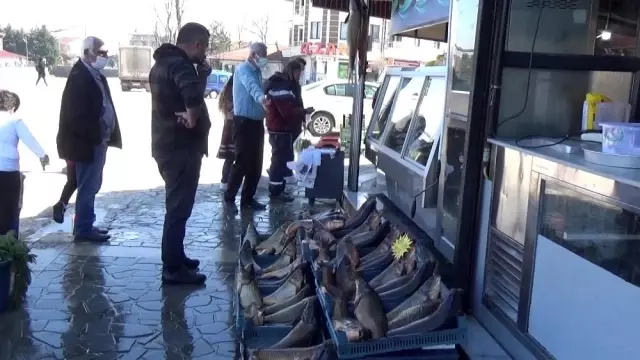Mart ayının şampiyonu sazan, tuzlu su balıklarını rafa kaldırttı Mart ayının şampiyonu sazan, tuzlu su balıklarını rafa kaldırttı