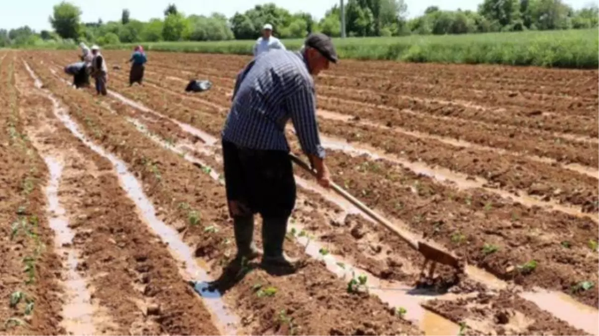 Mazot gübre desteği 2021 ne zaman verilecek? TC numarasına göre mazot gübre desteği ne zaman ödenecek?
