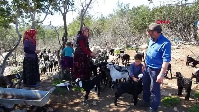 MERSİN Sarıkeçili Yörük kadınları, 8 Mart'tan habersiz yaşamlarını sürdürüyor MERSİN Sarıkeçili Yörük kadınları, 8 Mart'tan habersiz yaşamlarını sürdürüyor