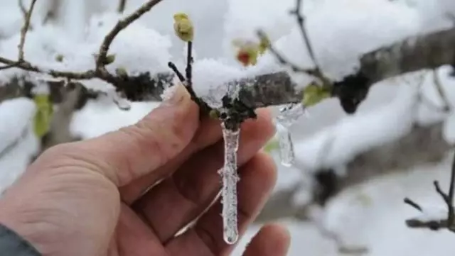 Meteoroloji'den İstanbul dahil 19 il için sarı uyarı Meteoroloji'den İstanbul dahil 19 il için sarı uyarı