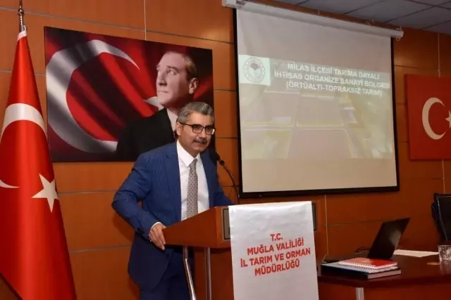 Milas'ta örtü altında topraksız tarım yapılacak Milas'ta örtü altında topraksız tarım yapılacak