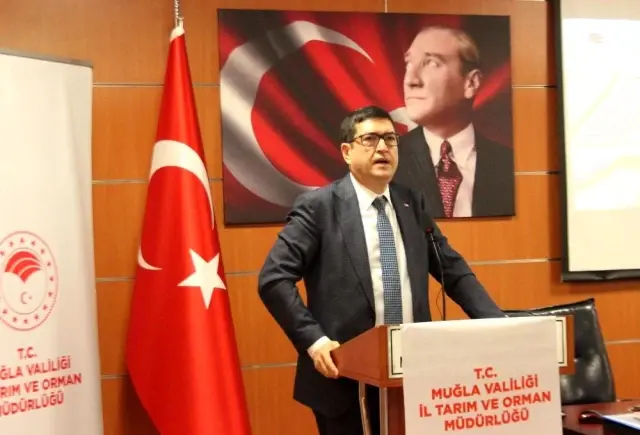 Milas'ta örtü altında topraksız tarım yapılacak Milas'ta örtü altında topraksız tarım yapılacak