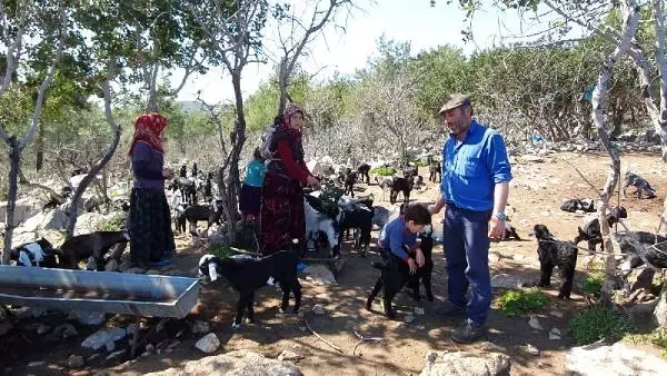 MERSİN Sarıkeçili Yörük kadınları, 8 Mart'tan habersiz yaşamlarını sürdürüyor MERSİN Sarıkeçili Yörük kadınları, 8 Mart'tan habersiz yaşamlarını sürdürüyor