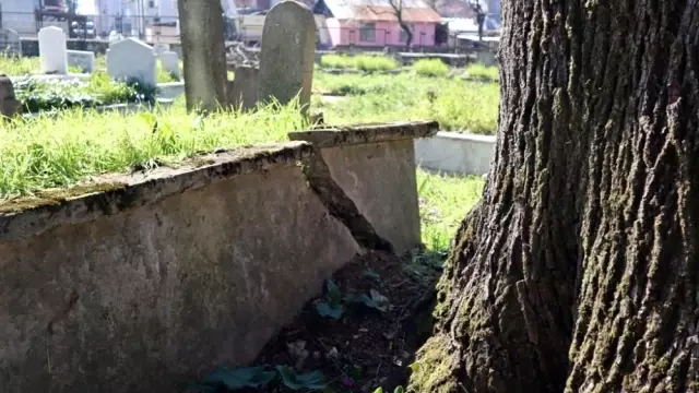 Şehir mezarlığı yenileniyor Şehir mezarlığı yenileniyor
