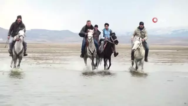 Son dakika haber: Sivas'ta atların çarpıştığı kaza kamerada: 1 yaralı Son dakika haber: Sivas'ta atların çarpıştığı kaza kamerada: 1 yaralı