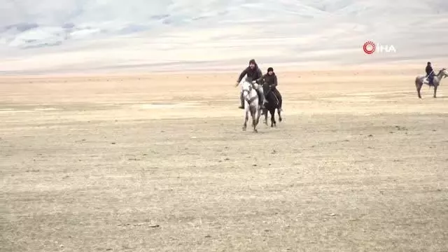 Son dakika haber: Sivas'ta atların çarpıştığı kaza kamerada: 1 yaralı Son dakika haber: Sivas'ta atların çarpıştığı kaza kamerada: 1 yaralı