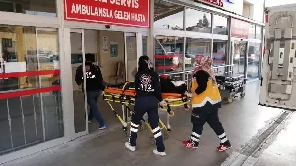 Son dakika... Sokak köpeğine çarpan motosikletli yaralandı; köpek öldü