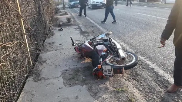 Son dakika... Sokak köpeğine çarpan motosikletli yaralandı; köpek öldü
